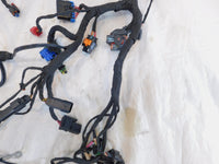 2024 Harley Davidson Pan America Special RA1250S 1250S Main Wiring Wire Harness - C3 Cycle