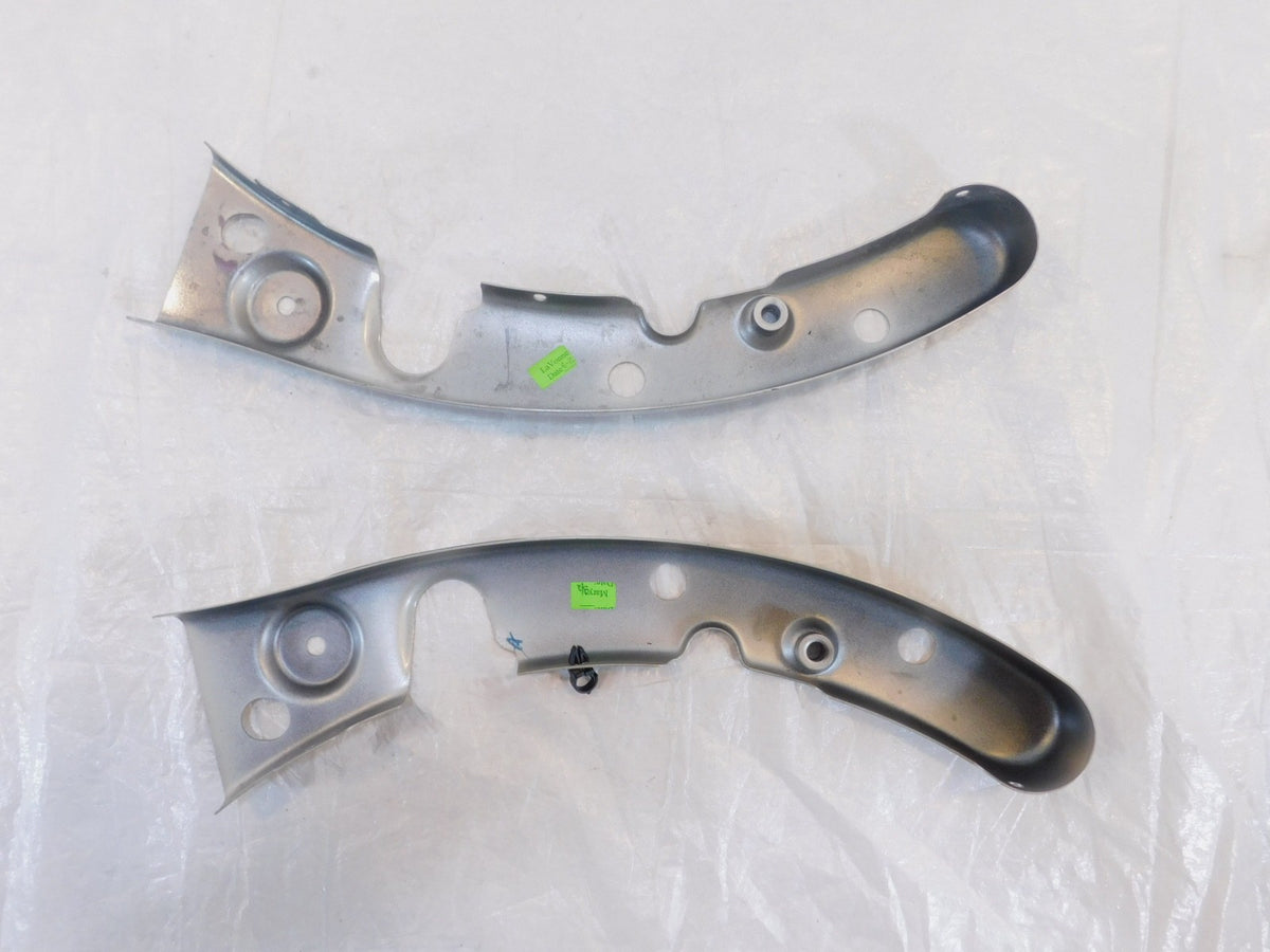 Harley Davidson CVO Street & Road Glide Autumn Haze Rear Fender Strut Covers - C3 Cycle