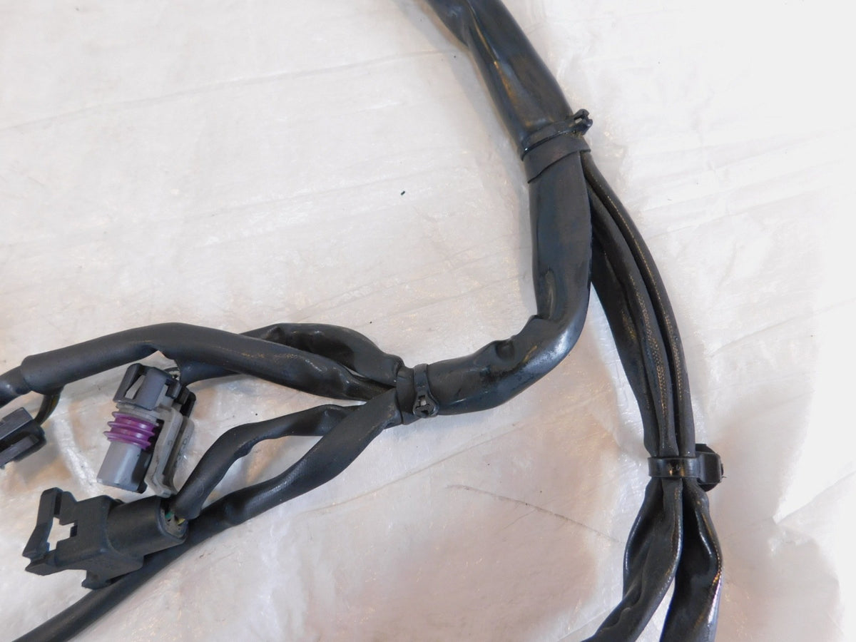 2004 2005 Harley Davidson Road King & Electra Glide EFI ECM Wire Wiring Harness - C3 Cycle