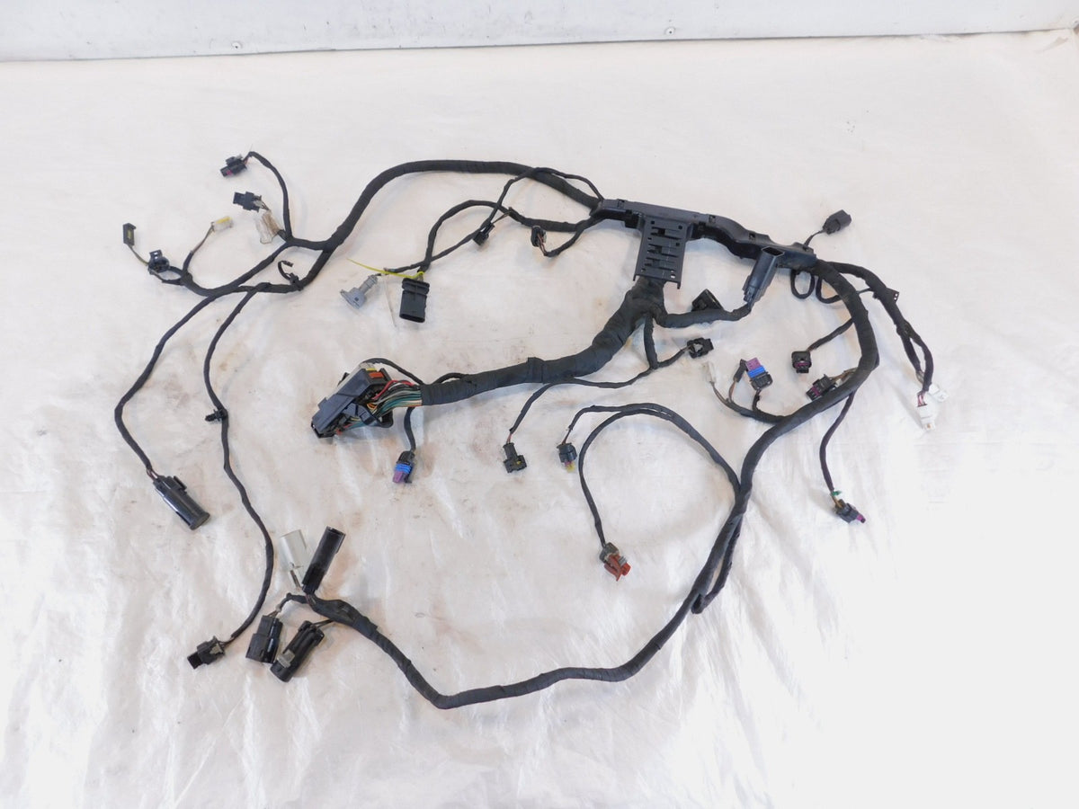 Harley Davidson Pan America RA1250 1250 1250S Engine Wire Wiring Harness Loom - C3 Cycle