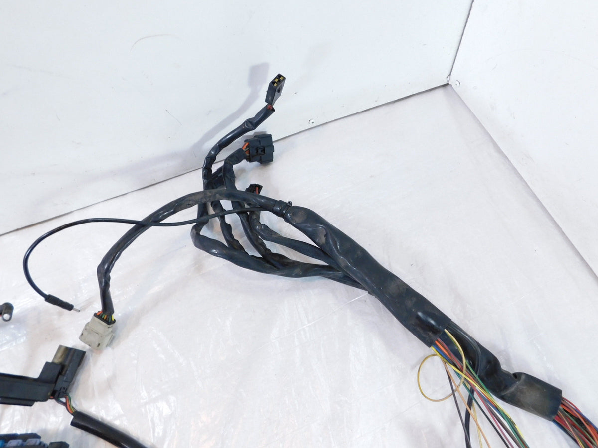 10-11 Harley Davidson Electra Street & Road Glide Main Wire Wiring Harness Loom - C3 Cycle