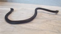 2000-2005 Suzuki Bandit GSF 600 1200 Positive Battery Lead Cable Wire