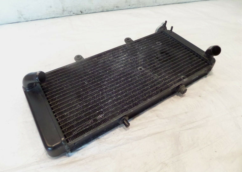 01-07 Aprilia ETV1000 Caponord 1000 Engine Motor Cooling Coolant Cooler Radiator