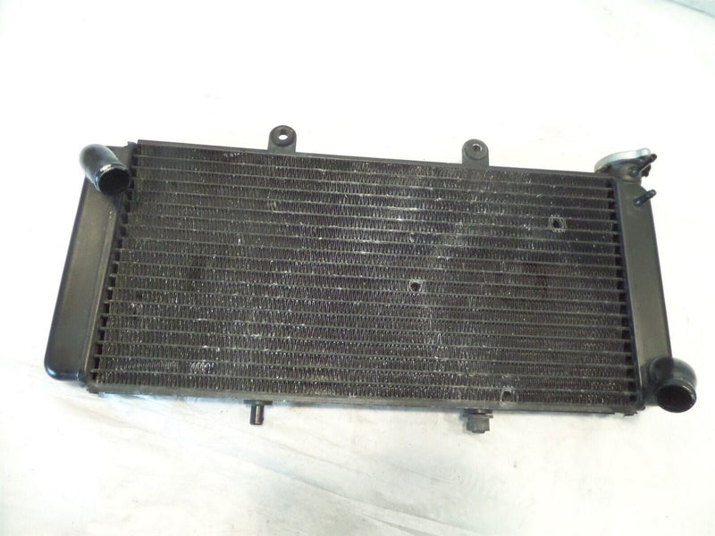 01-07 Aprilia ETV1000 Caponord 1000 Engine Motor Cooling Coolant Cooler Radiator