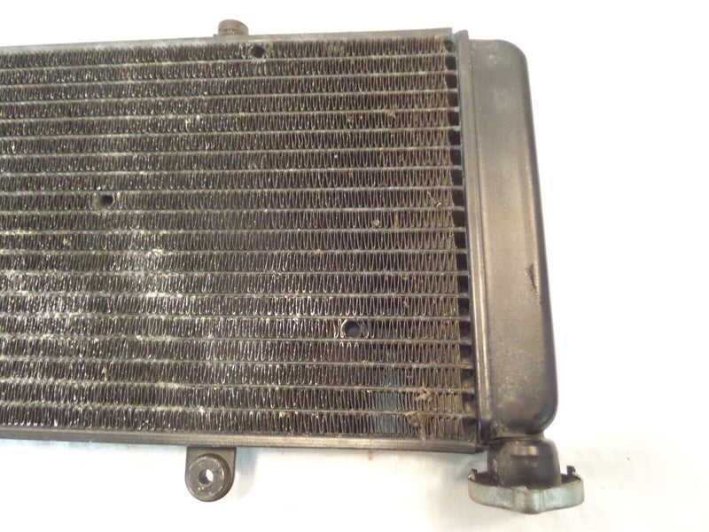 01-07 Aprilia ETV1000 Caponord 1000 Engine Motor Cooling Coolant Cooler Radiator