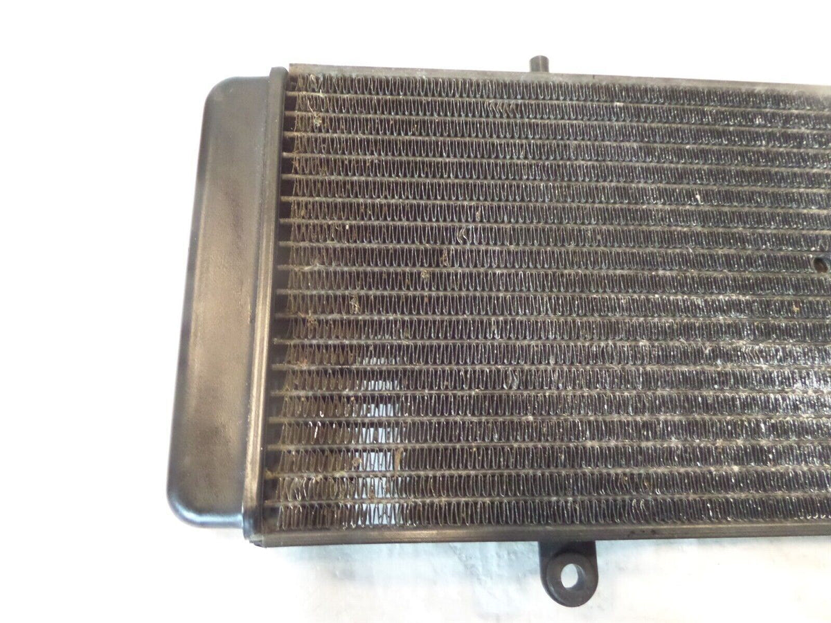 01-07 Aprilia ETV1000 Caponord 1000 Engine Motor Cooling Coolant Cooler Radiator