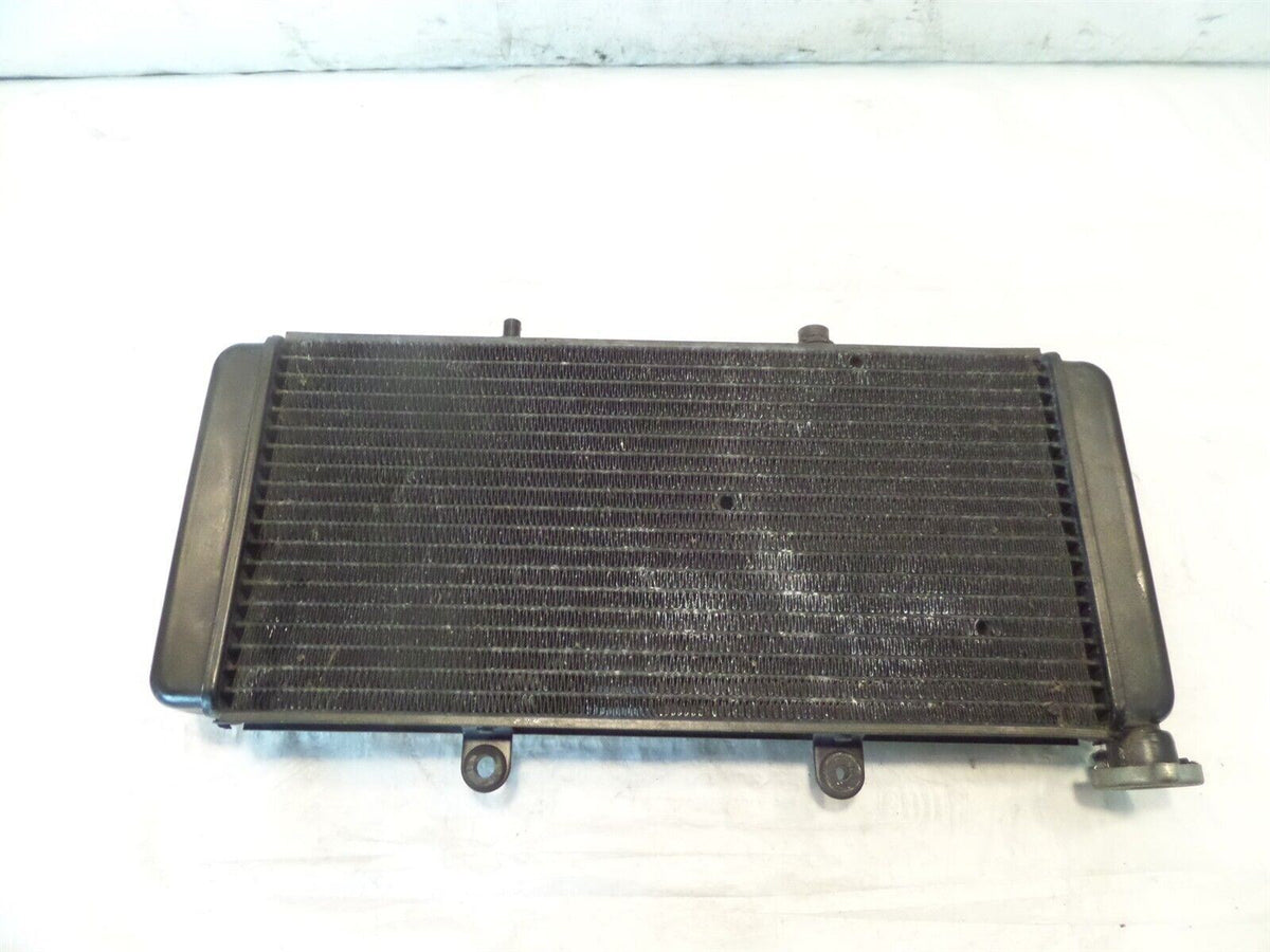 01-07 Aprilia ETV1000 Caponord 1000 Engine Motor Cooling Coolant Cooler Radiator