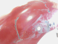 2004 2005 & 2006 Harley Davidson Sportster 883 & 1200 Red Rear Wheel Fender