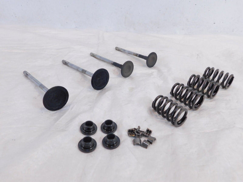 Victory Vision Kingpin & Vegas Exhaust & Intake Valves w/ Retainers & Springs