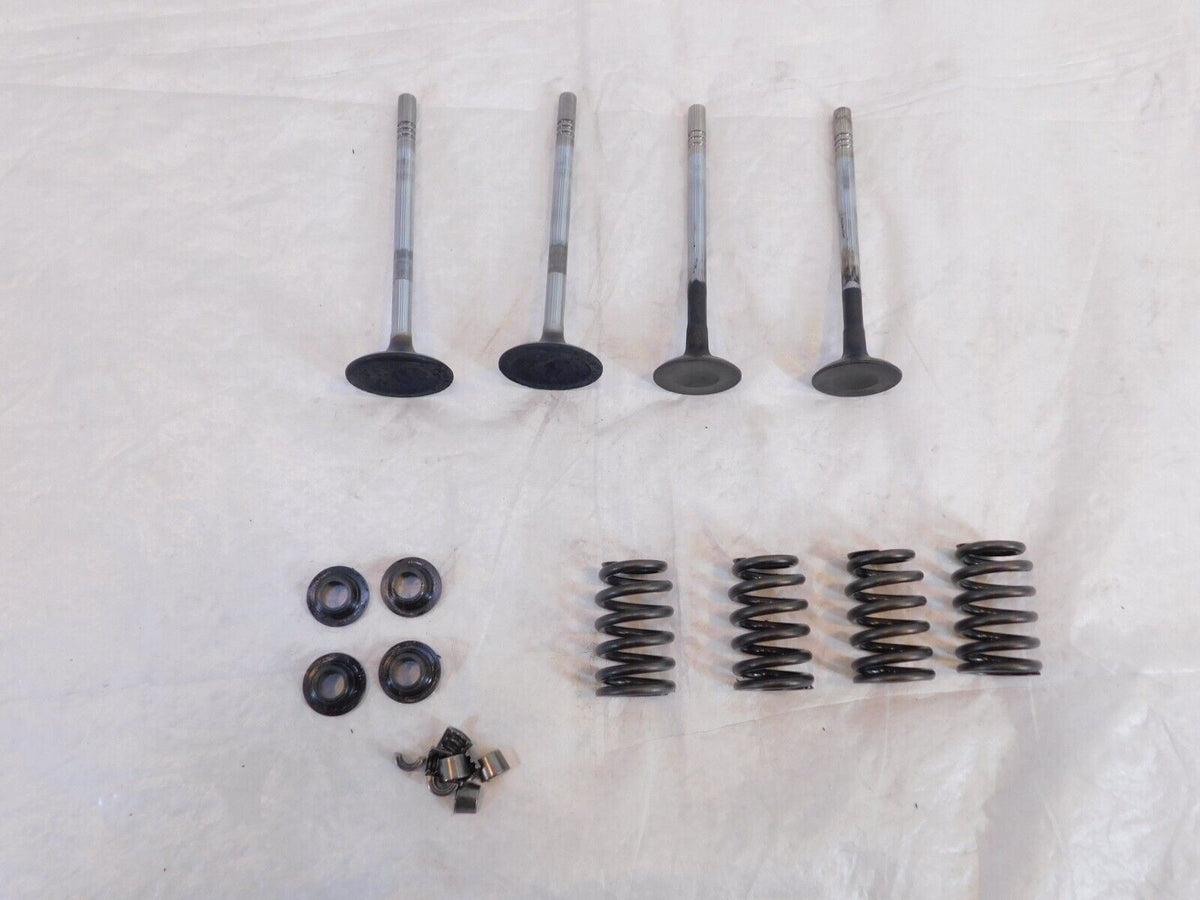 Victory Vision Kingpin & Vegas Exhaust & Intake Valves w/ Retainers & Springs