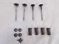 Victory Vision Kingpin & Vegas Exhaust & Intake Valves w/ Retainers & Springs