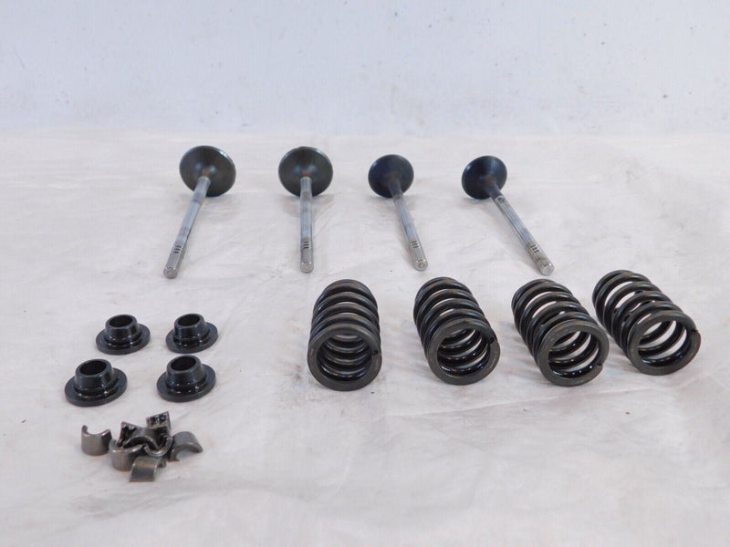 Victory Vision Kingpin & Vegas Exhaust & Intake Valves w/ Retainers & Springs