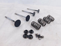 Victory Vision Kingpin & Vegas Exhaust & Intake Valves w/ Springs & Retainers