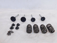 Victory Vision Kingpin & Vegas Exhaust & Intake Valves w/ Springs & Retainers