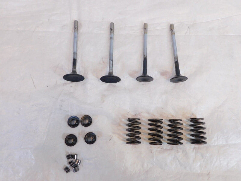 Victory Vision Kingpin & Vegas Exhaust & Intake Valves w/ Springs & Retainers