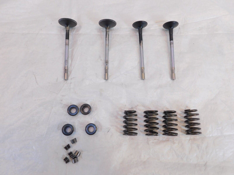 Victory Vision Kingpin & Vegas Exhaust & Intake Valves w/ Springs & Retainers