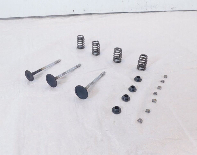 Victory Vision Kingpin & Vegas Exhaust & Intake Valves w/ Retainers & Springs