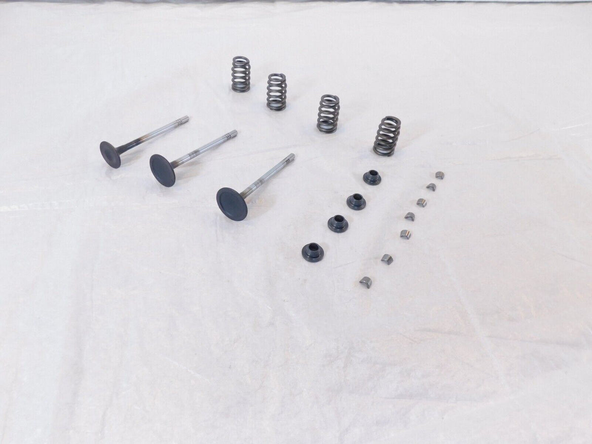 Victory Vision Kingpin & Vegas Exhaust & Intake Valves w/ Retainers & Springs