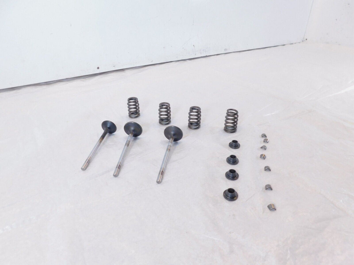 Victory Vision Kingpin & Vegas Exhaust & Intake Valves w/ Retainers & Springs