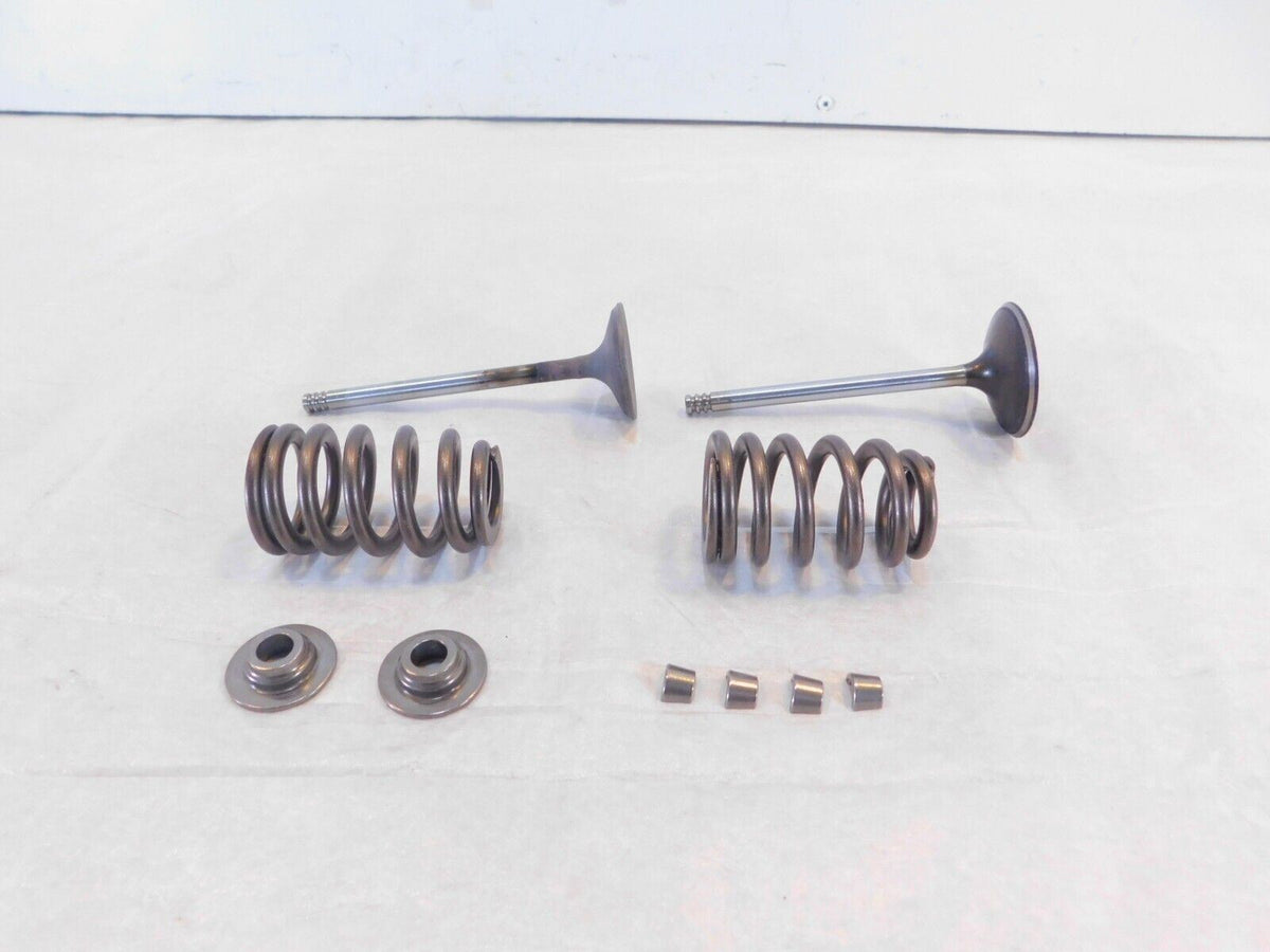 Harley Davidson Street Glide Dyna & Softail Intake & Exhaust Valves & Springs