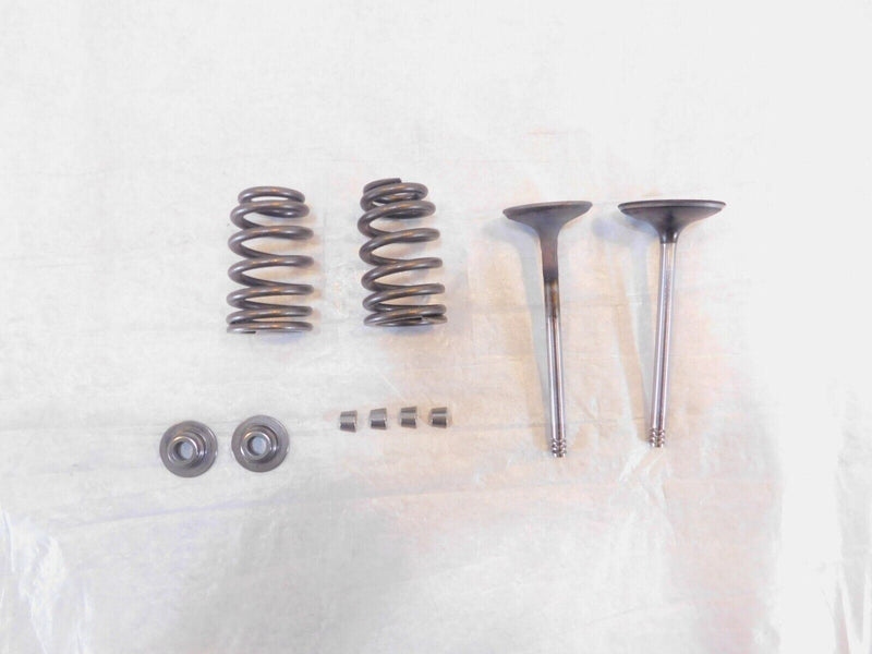 Harley Davidson Street Glide Dyna & Softail Intake & Exhaust Valves & Springs