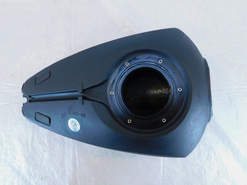 2009-2013 Harley Davidson Sportster XR1200 XR 1200 Fuel Gas Petrol Tank Cell