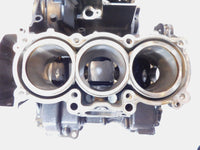 Triumph Street Triple 675R Daytona 675 Engine Motor Block Crankcase & Cylinders