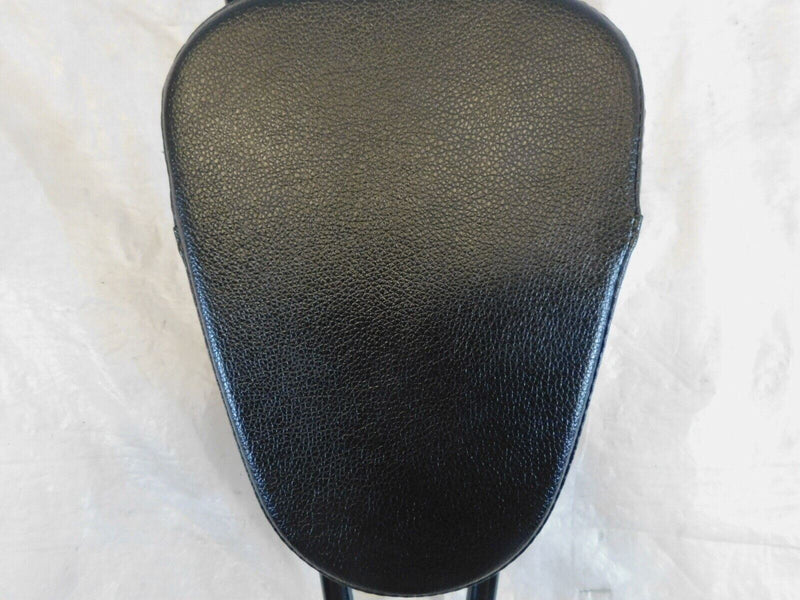 2004-2018 Harley Sportster 883 & 1200 Custom Rear Passenger Backrest Sissybar