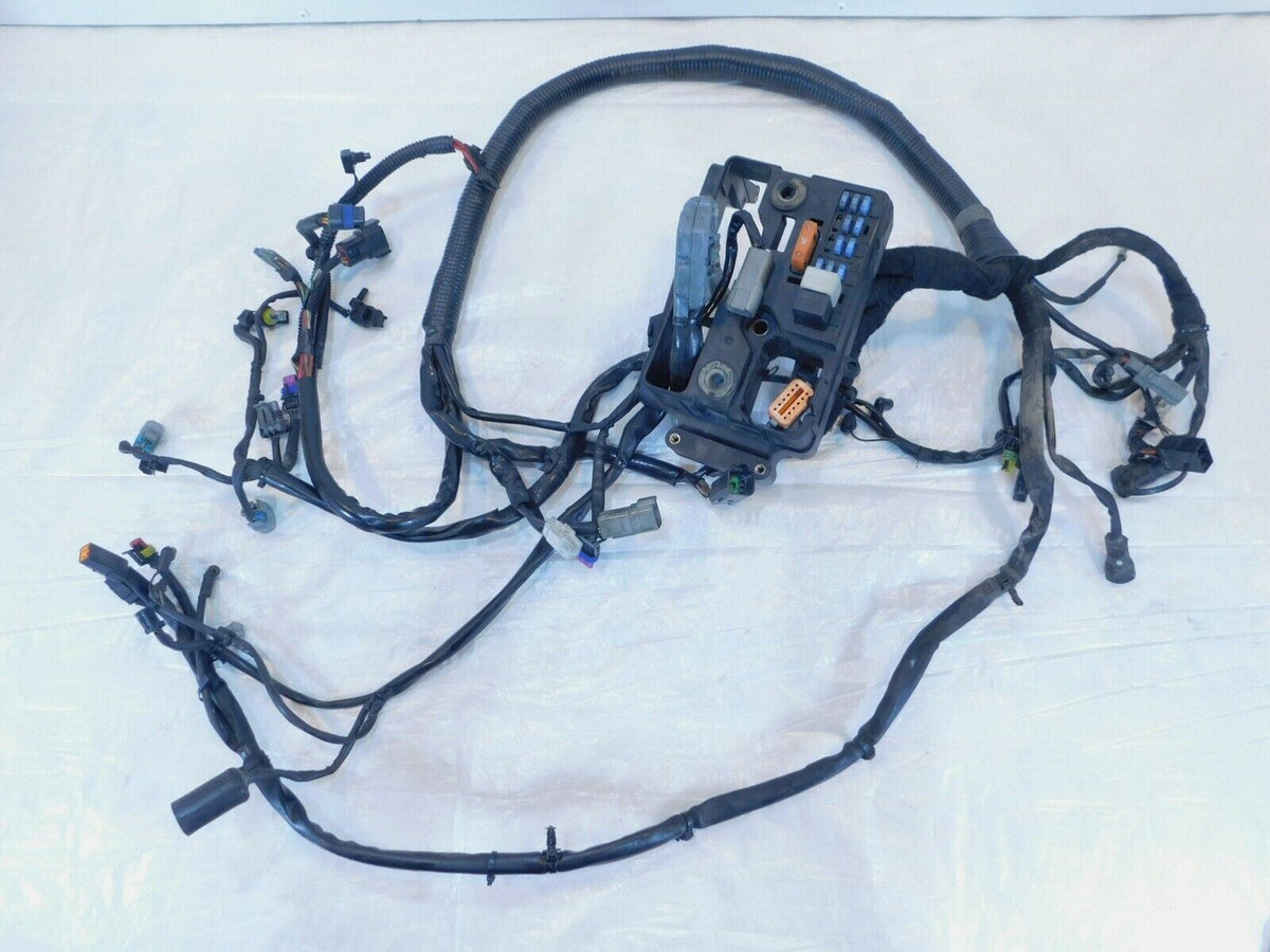 2006 Harley Davidson Dyna Wide Glide FXDWGI Main Electrical Wiring Wire Harness