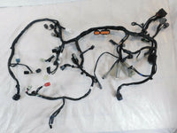 2020-2022 Kawasaki Ninja 650 ABS EX650 Main Electrical Wiring Wire Harness Loom