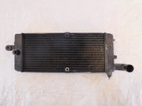 Honda VT750 VT750C Shadow 750 ACE Deluxe & Spirit Front Engine Coolant Radiator