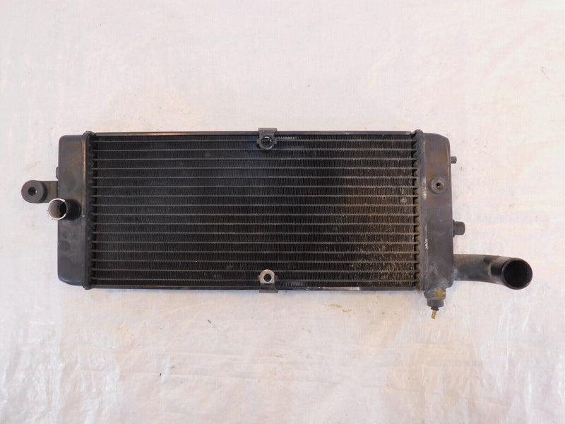 Honda VT750 VT750C Shadow 750 ACE Deluxe & Spirit Front Engine Coolant Radiator