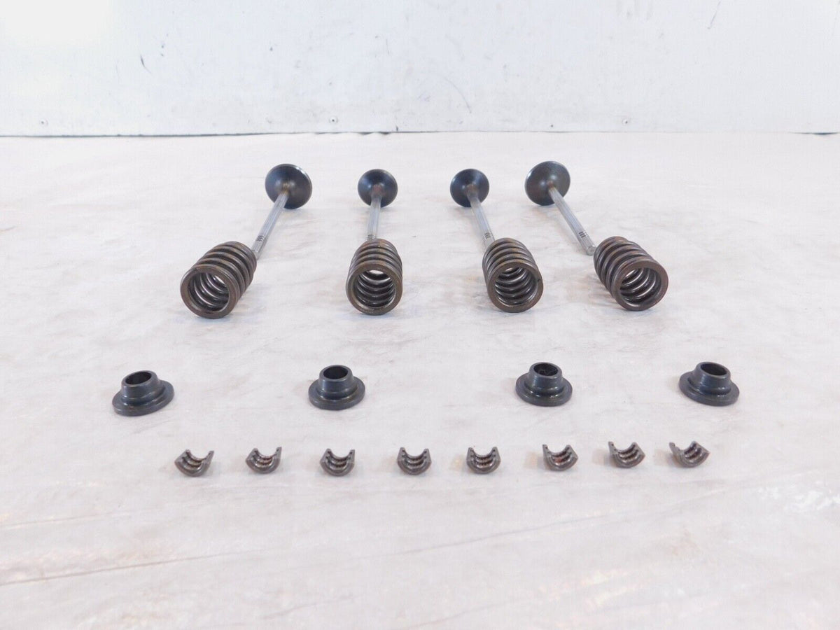 Victory Hammer Kingpin & Vegas Exhaust & Intake Valves w/ Retainers & Springs