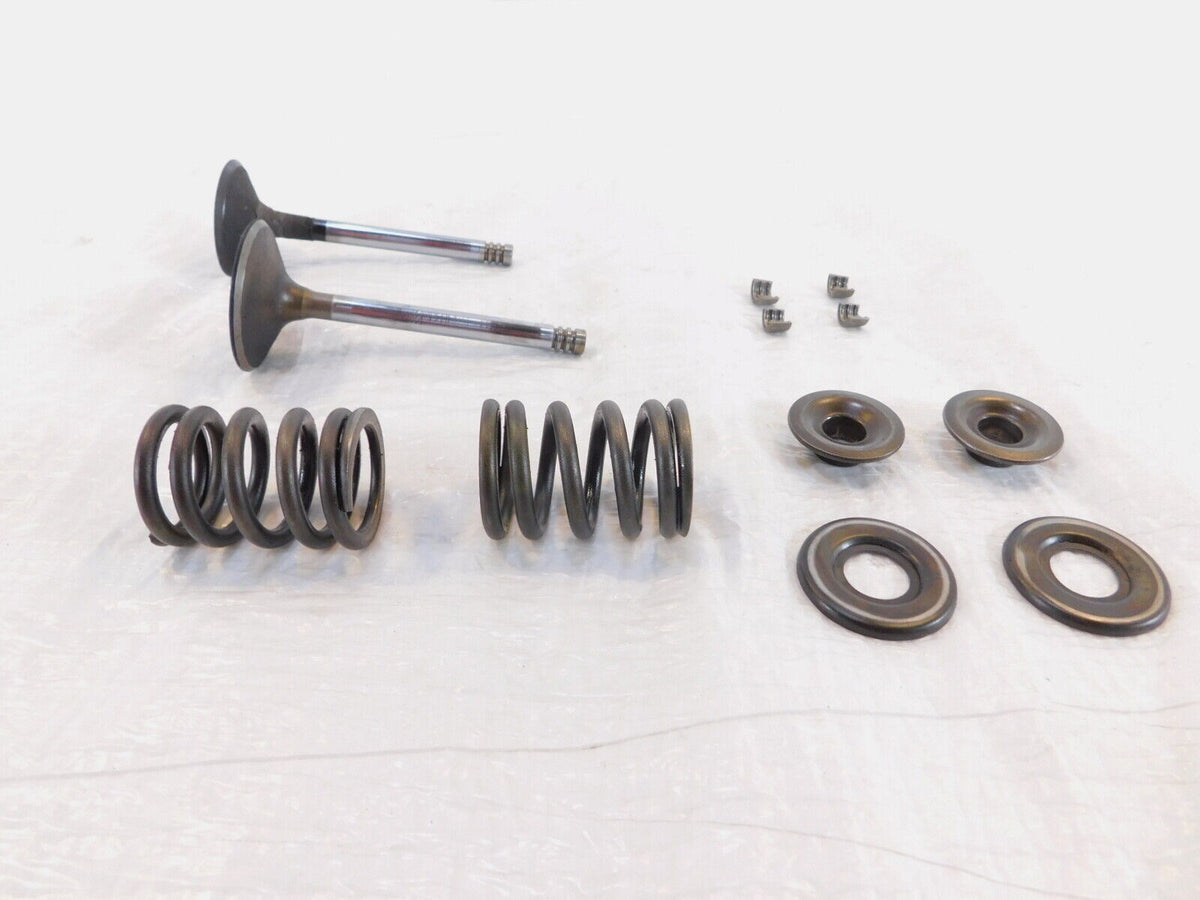 1979-1984 BMW Airhead R100CS R100RS R100/T Intake/Exhaust Valves Seats & Springs