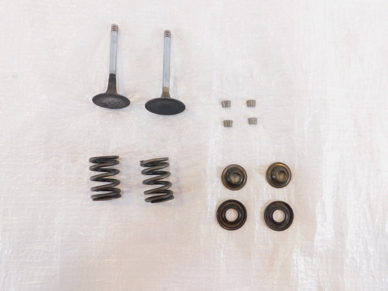 1979-1984 BMW Airhead R100CS R100RS R100/T Intake/Exhaust Valves Seats & Springs